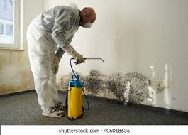 Mold Documentation for Insurance Claims in New Knoxville, OH